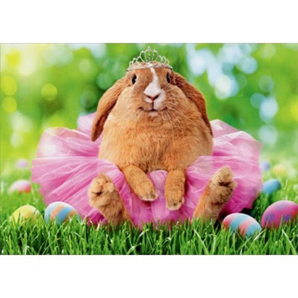 Meet your Posher, Jen